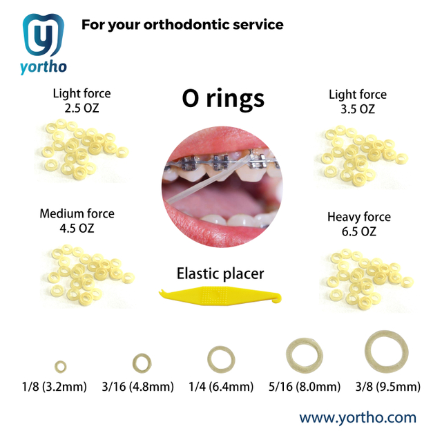 Orthodontic O RING
