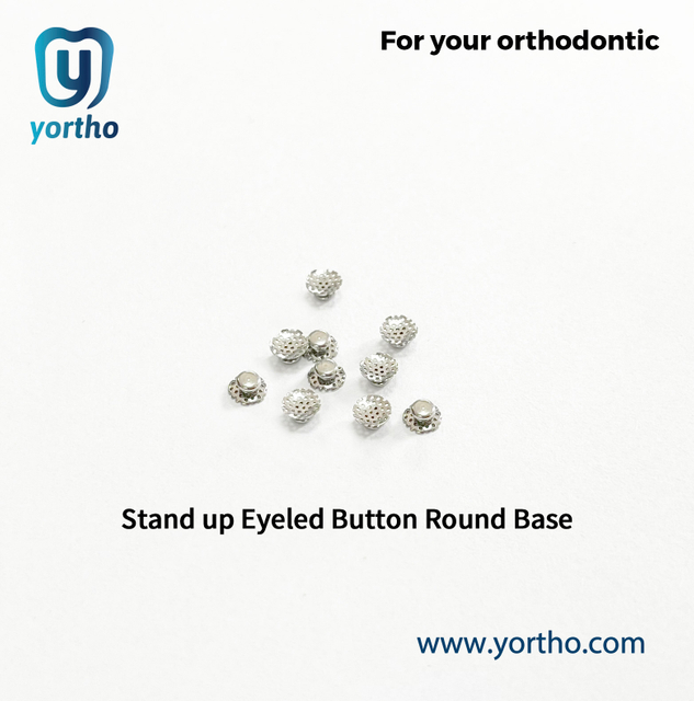Stand up Eyeled Button Round Base
