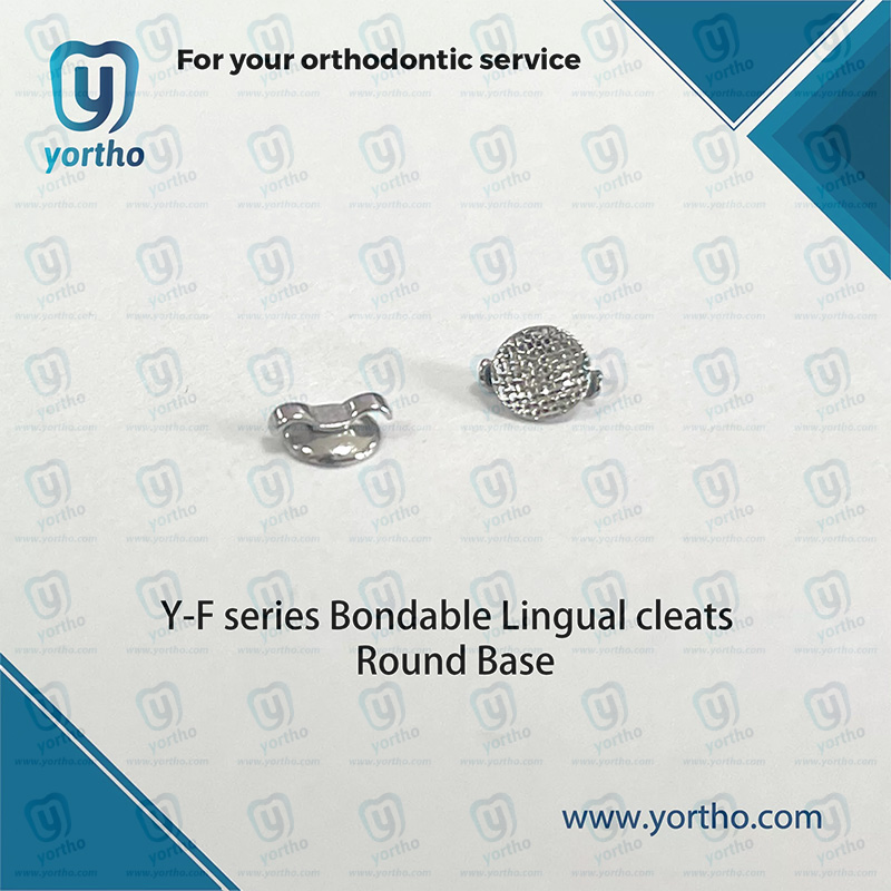Lingual Cheats