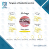 Orthodontic O RING