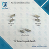 Lingual Sheath