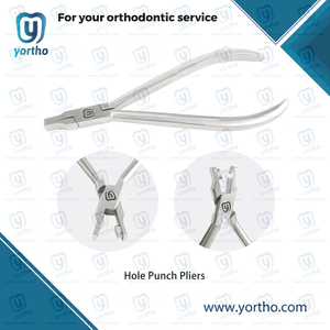 Hole punch pliers