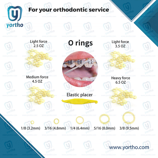 Orthodontic O RING